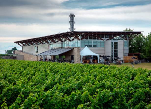 Jackson-Triggs Niagara Estate Winery