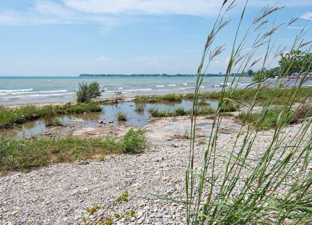Morgan’s Point Conservation Area