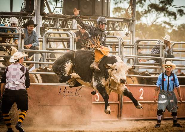 Chittering Rodeo