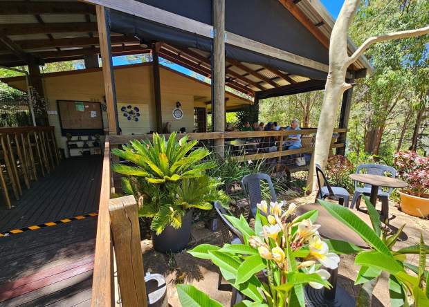 Cozi Corner Book Café