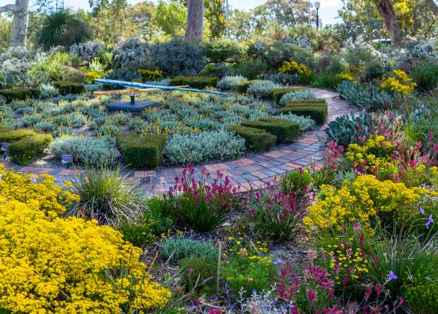 Kings Park Botanic Garden