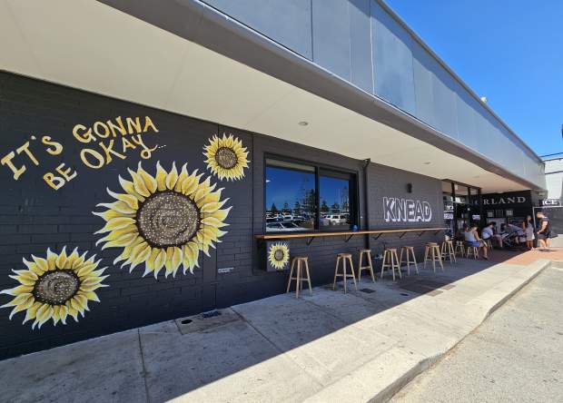 "Seeded Sunflower" Mural