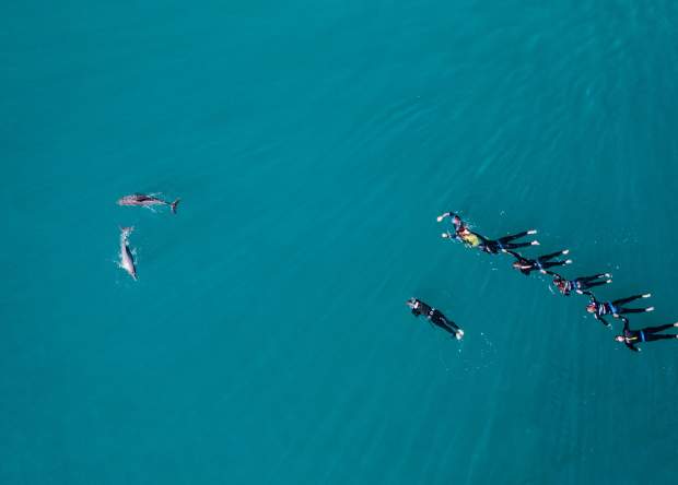 Perth Wildlife Encounters