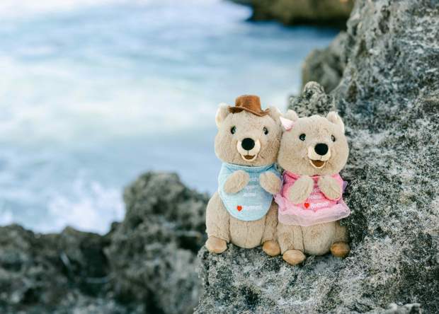 Blessimo Quokka Plush Toys Rottnest Island