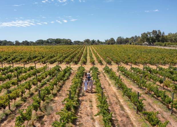 Sandalford Winery, Swan Valley