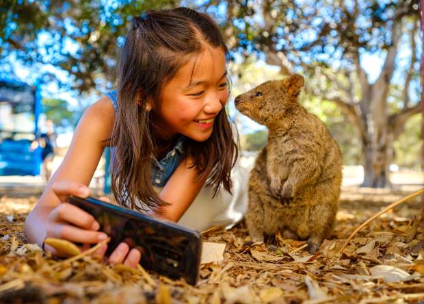 Quokka | Rottnest Island