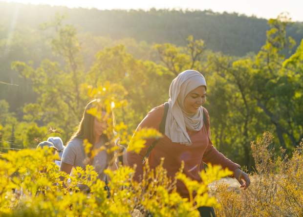 Hiking through wildflowers near Mundaring with The Hike Collective, Perth Hills
