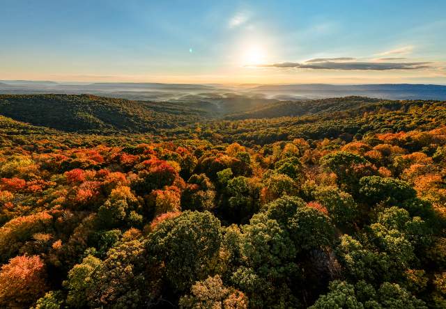 2026 Fall Foliage Report - Week 3