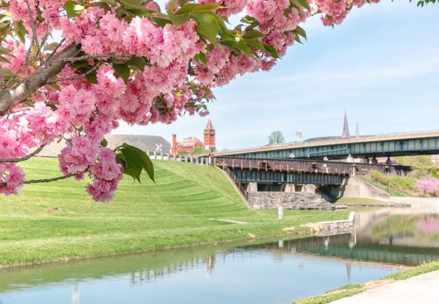 Spring Road Trip Itinerary