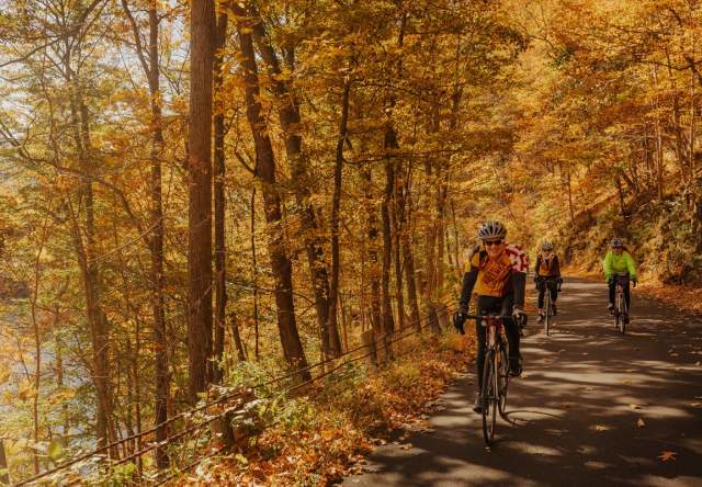Top Fall Activities to Cross Off the List