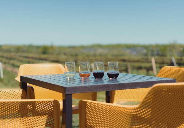 Wine tasting cups