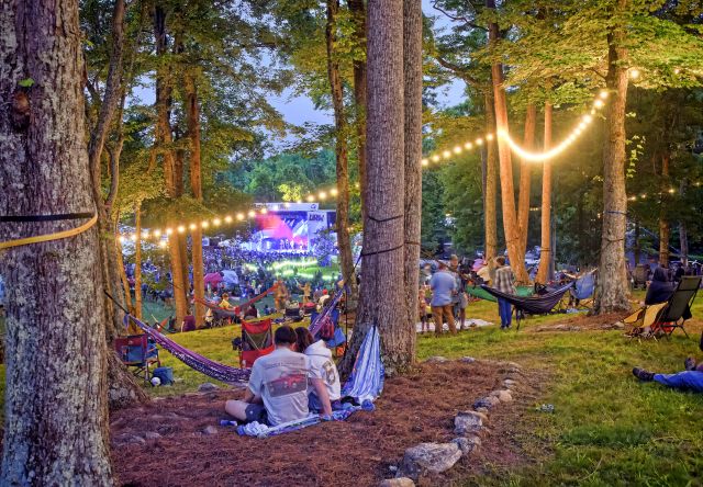 Rooster Walk Spotlight