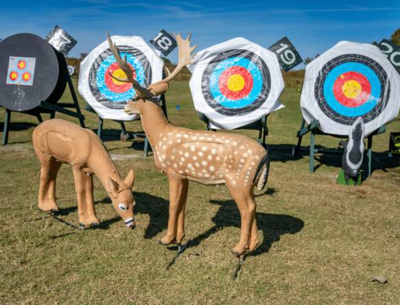 3D Archery at The Quiver Archery Range