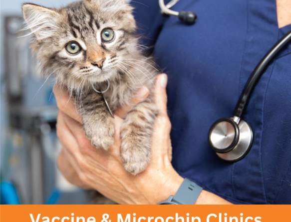 Free Vaccine & Microchip Clinic