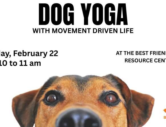 Dog Yoga with Movement Driven Life