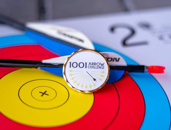 1001 Arrow Challenge
