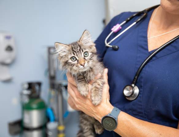 Best Friends Pet Vaccine and Microchip Clinic