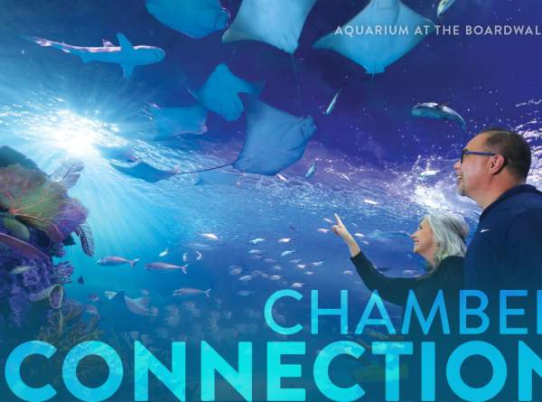 Chamber Newsletter: Jan. 15, 2026