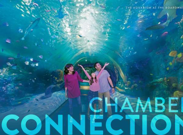 Chamber Newsletter: July 31, 2025