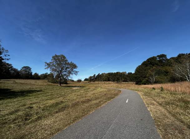 Gwinnett Goes Outside: Little Mulberry Park