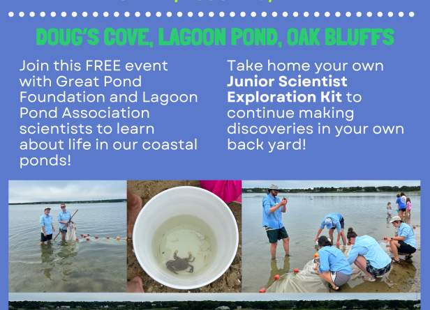 Seine Net Event