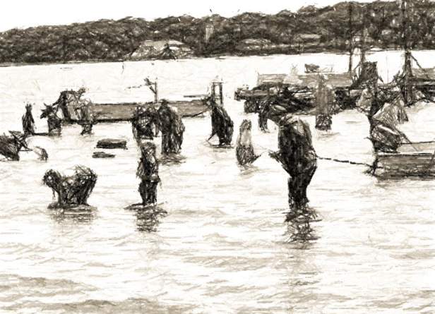 Family Shellfish Day