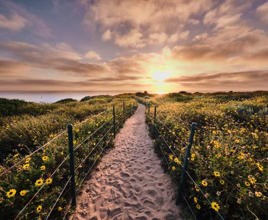 Spring in Dana Point, California