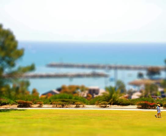 Spring in Dana Point, California