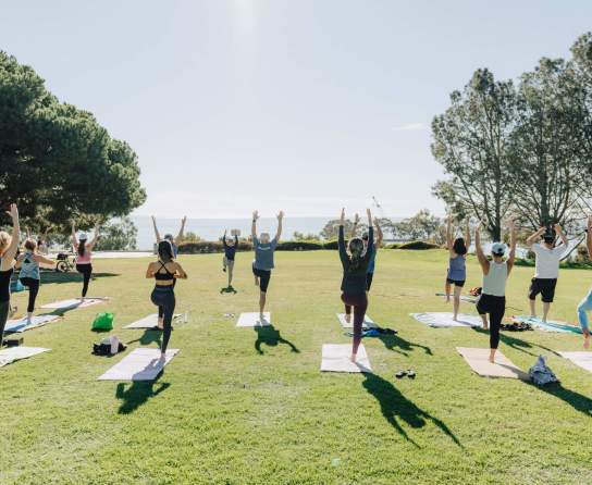 Wellness Yoga Outdoor Sports