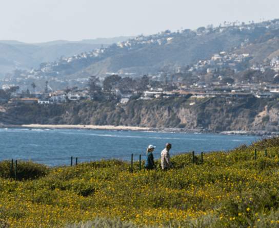 Discover Self-Care & Wellness in Dana Point: Your Ultimate Coastal Escape