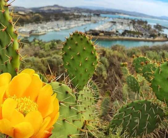 FALL in love with Dana Point!