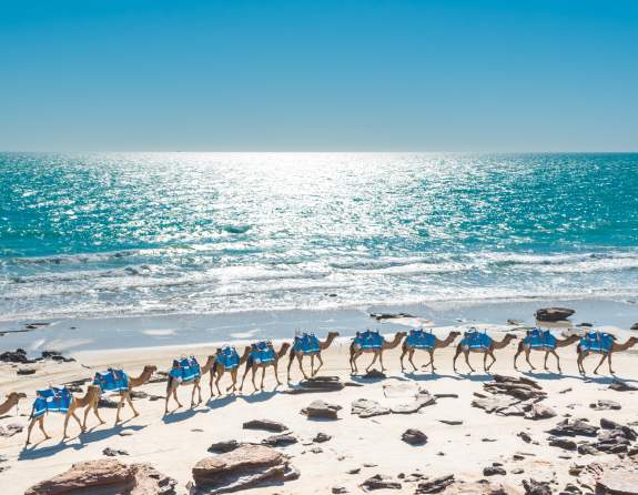 Afternoon Camel Train on Cable Beach with the Indian Ocean in the background
