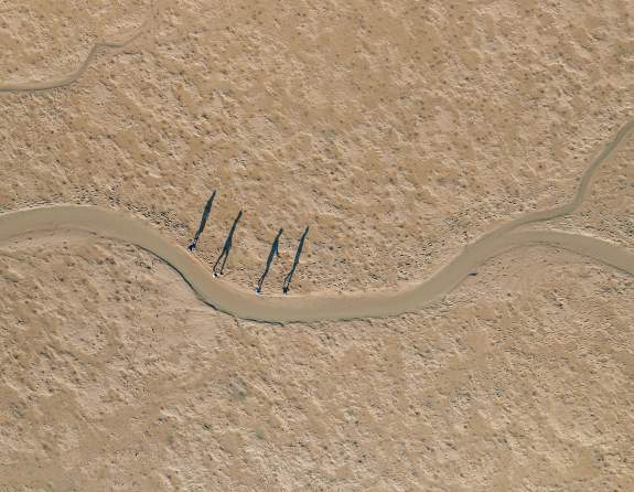 Aerial shot of a tour group walking along the tidal flats, their shadows silhouetted against the sand