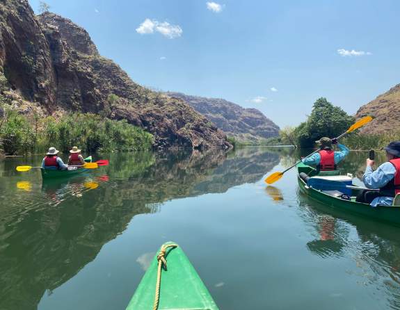 Go Wild Adventure Tours