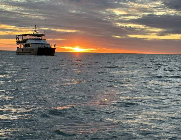 One Tide Charters