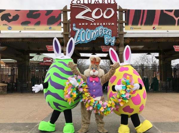 Eggs, Paws and Claws