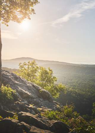 Beautiful sunlight filters through the leaves of a tree on Watchtower Overlook at Double Oak Park.