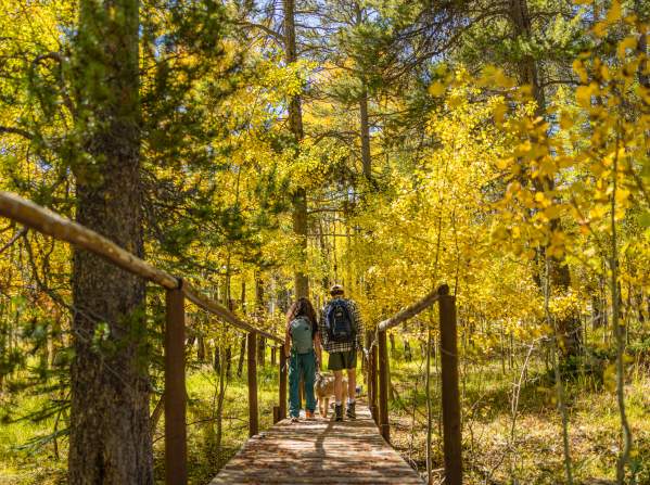 Hiking on Casper Mountain