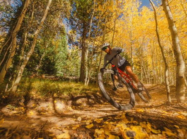Mountain Biking on Casper Mountain