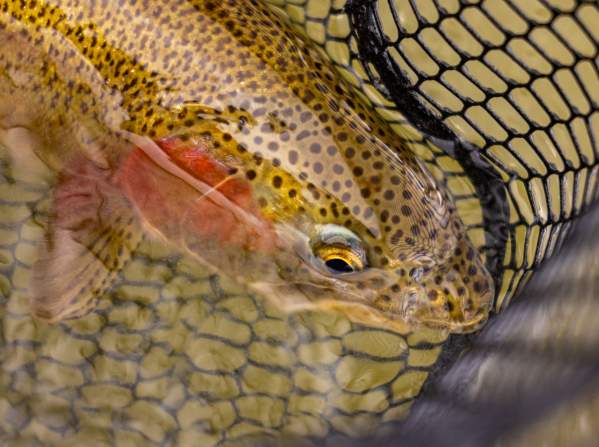 Fishing in Casper Wyoming