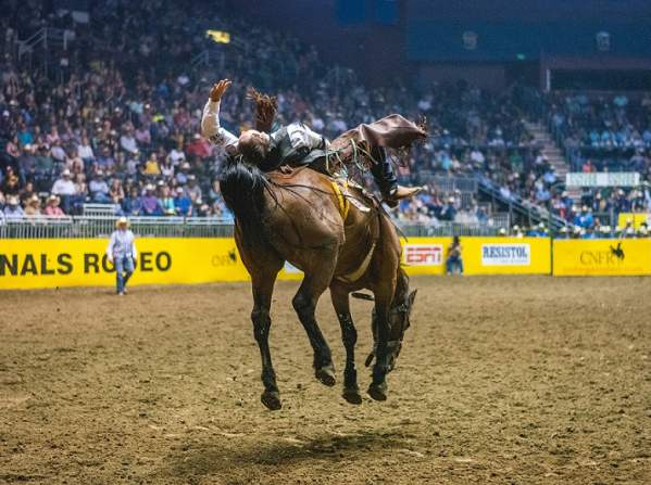Trip Worthy Events in 2020 - CNFR