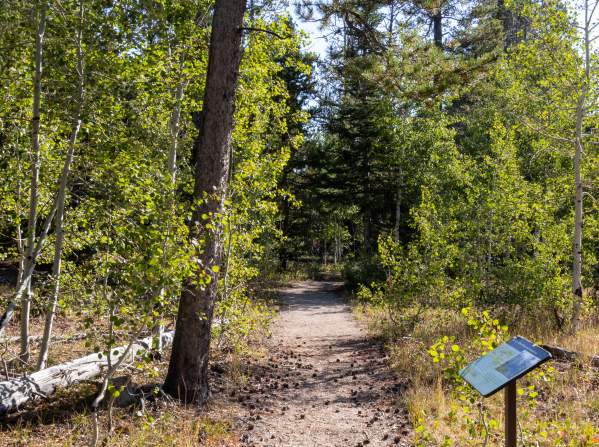 Muddy Mountain Trail