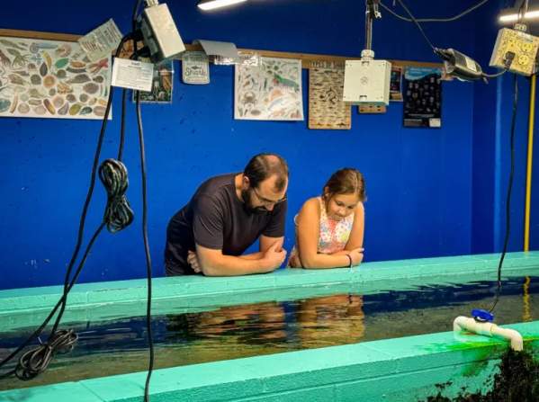 Father-daughter viewing sea life at MSUM's oceanarium.