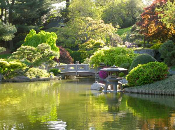 Must-See Flower Displays and Gardens in New York