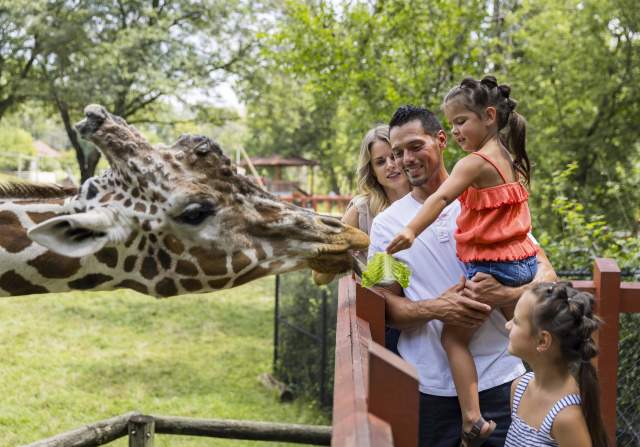 Blank Park Zoo
