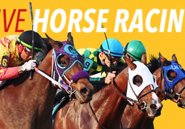 2025 Live Thoroughbred & Quarter Horse Racing