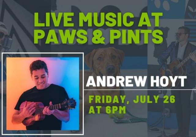 P&P Live Music featuring Andrew Hoyt