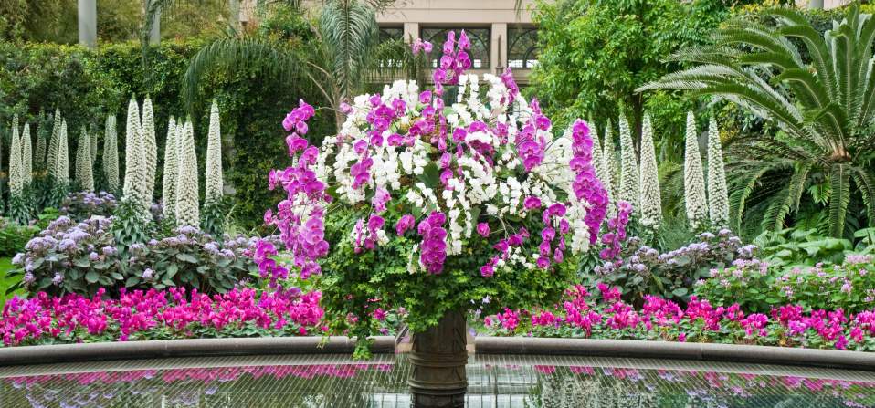 Flower Arrangement at the Longwood Gardens in Wilmington, DE
