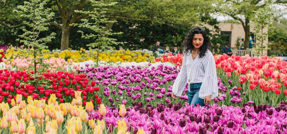 Spring at Longwood Gardens, Women walking through field of tulips