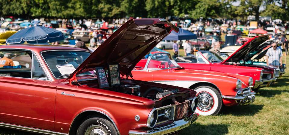 Hagley Car Show